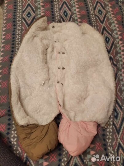 Одежда для собак