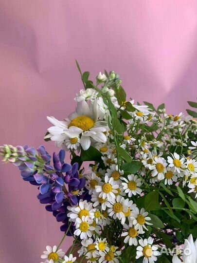 Полевой букет