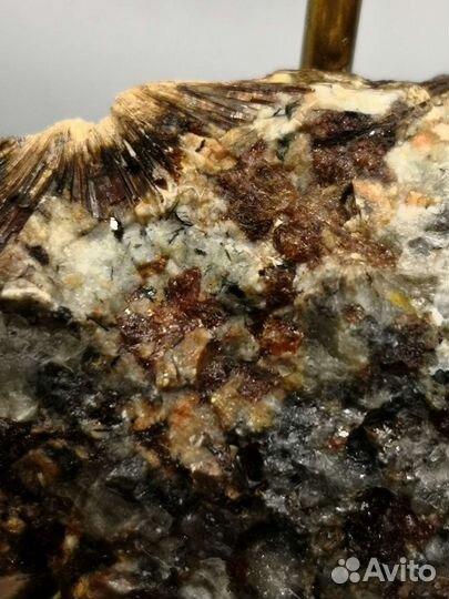 Лапрофиллит, эвдиалит, гакманит. Ловозеро