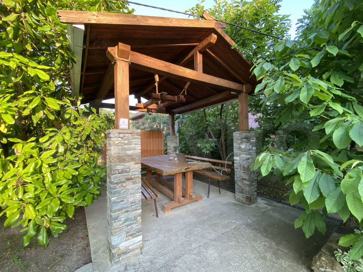 Комната 15 м² в > 9-к., 1/3 эт.