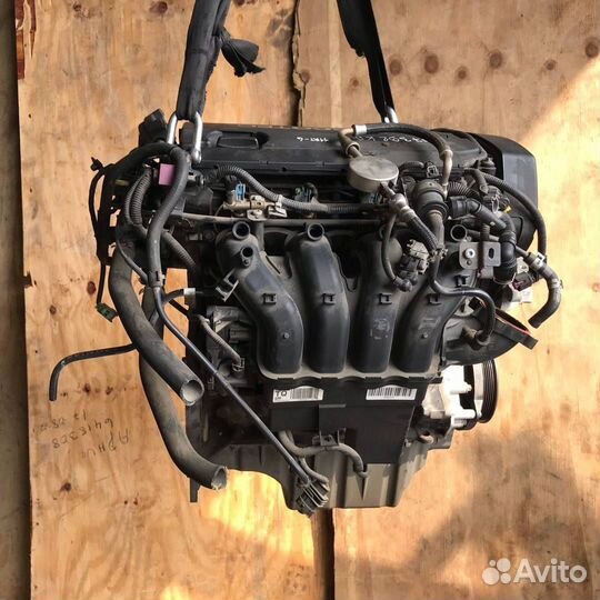 Двигатель шевроле Авео 1.6 F16D4