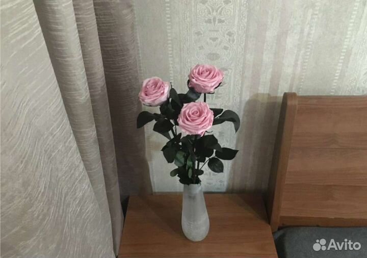 Живые не вянущие цветы