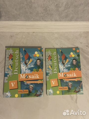 Mosaik V, 5 класс ученик и тетрадь. Новые