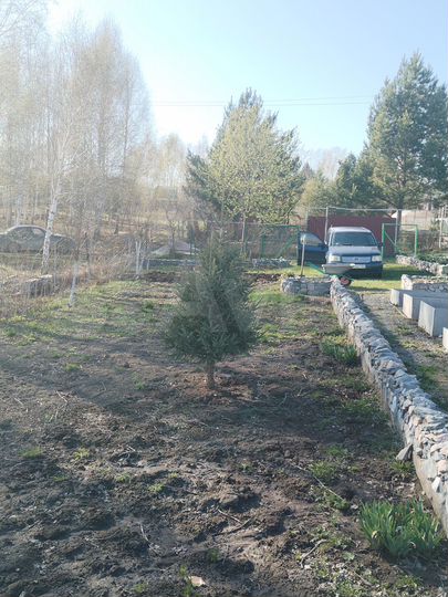 Участок 7 сот. (СНТ, ДНП)