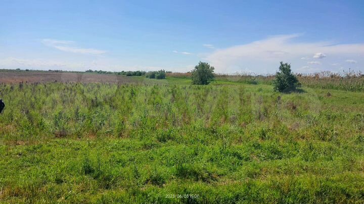 Участок 1,18 га (СНТ, ДНП)