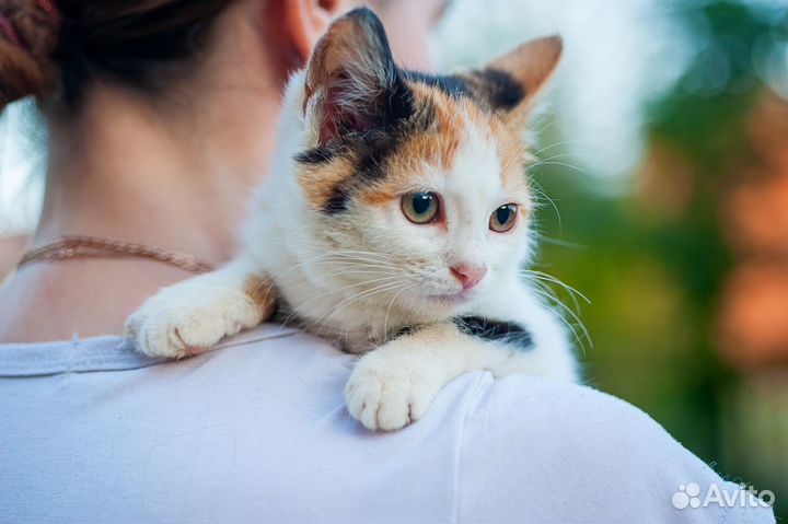 Маленькая Варя очень хочет стать любимицей