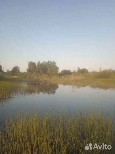 Червь выползок