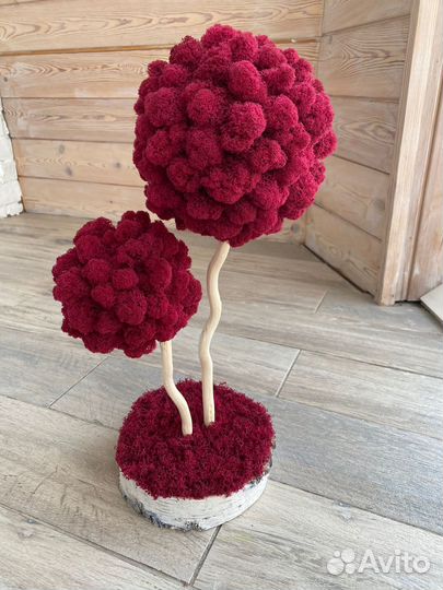 Дерево из мха. Топиарий из стабилизированного мха