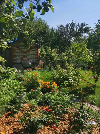 Дача 54 м² на участке 6 сот.