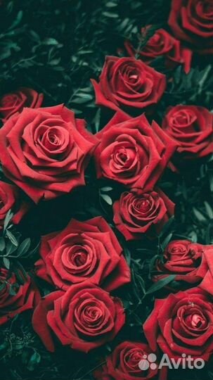 Медсестра,сиделка