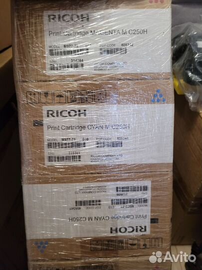 Ricon mc250h