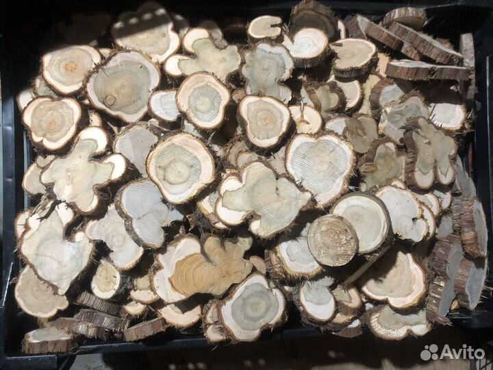 Можжевельник спилы