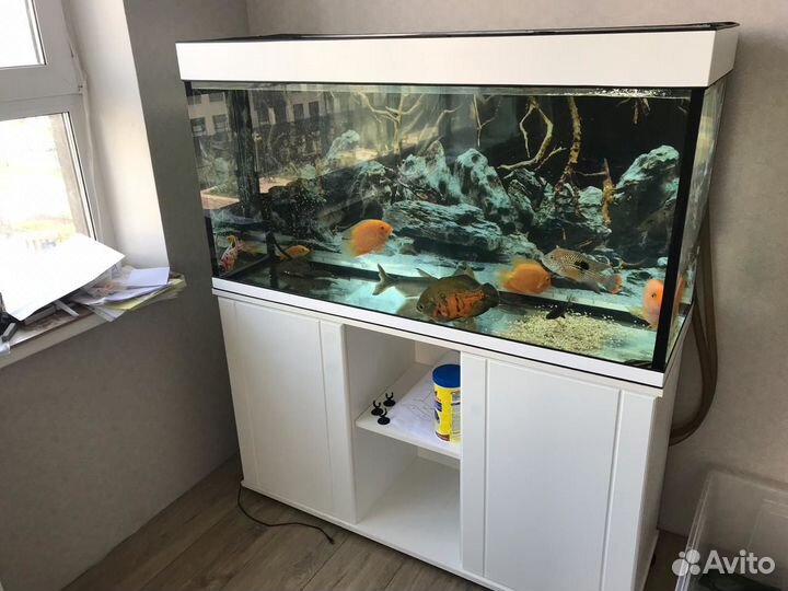Аквариум