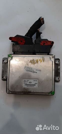 391044x910 kia carnival