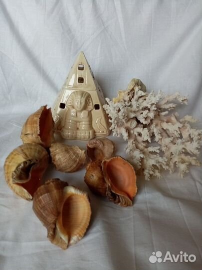 Коррал и украшения в аквариум