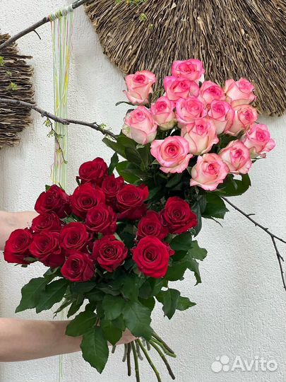 Розы 70 см