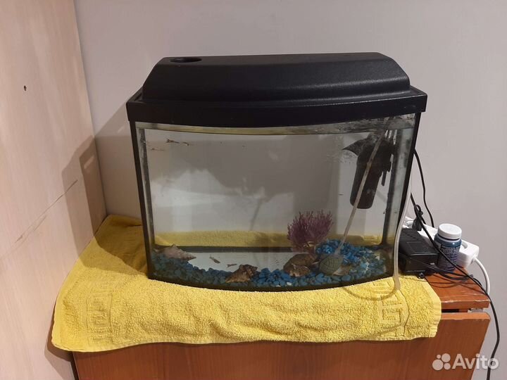 Аквариум+рыбки