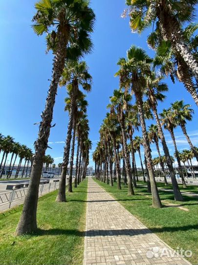 Тур в Сочи из Екатеринбурга