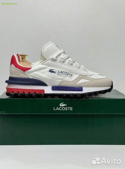 Мужские кроссы Lacoste (41-45) — сочетание стиля