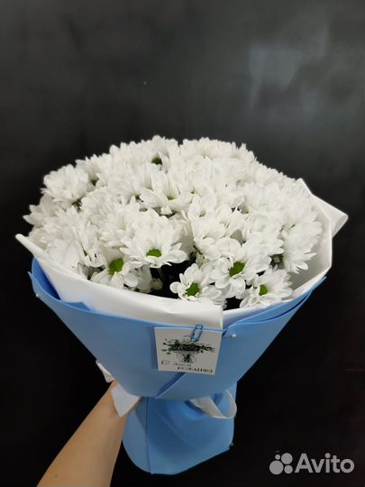 Хризантемы свежие