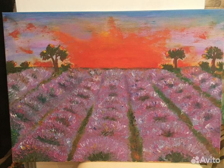 Картина маслом Поле лаванды 50x70
