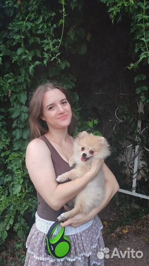 Передержка животных (няня для собак и кошек)