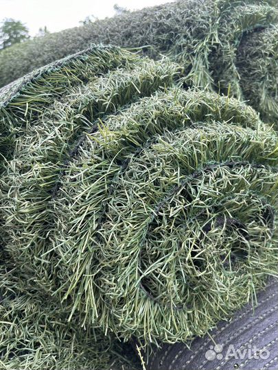 Искусственая трава для футбольного поля