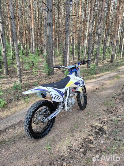 Avantis FX 250 lux