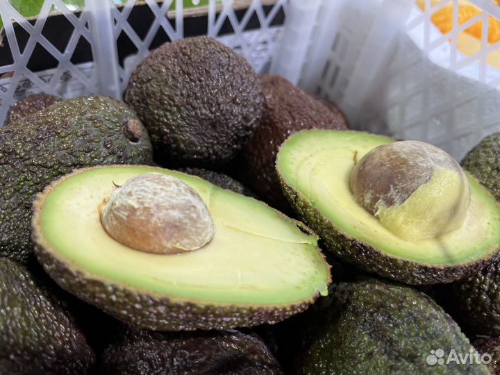 Авокадо Хасс