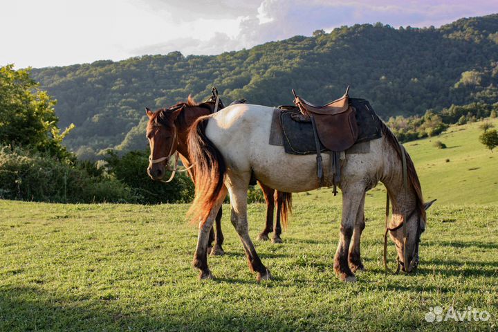 Курсы по фотографии для детей