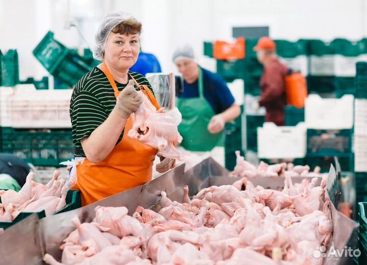 Упаковщик-Изготовитель полуфабрикатов/вахта на пф