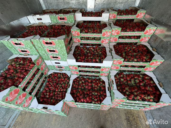 Клубника свежая