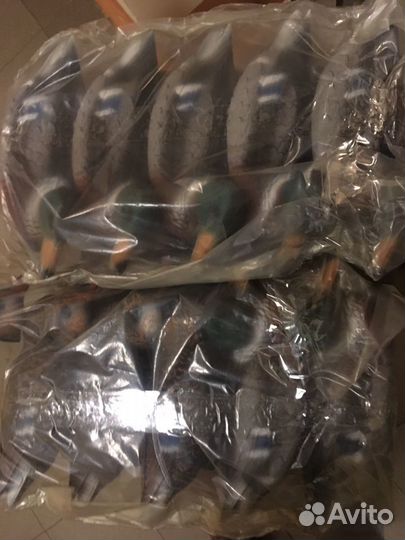 Чучело кряквы