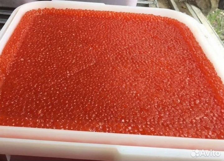Красная икра горбуши оптом
