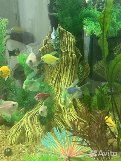 Декоры для аквариума