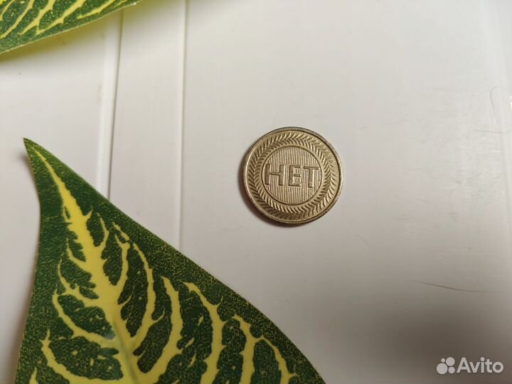 Монета да нет