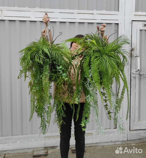 Подвесные композиции