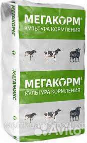 Зцм мустанг
