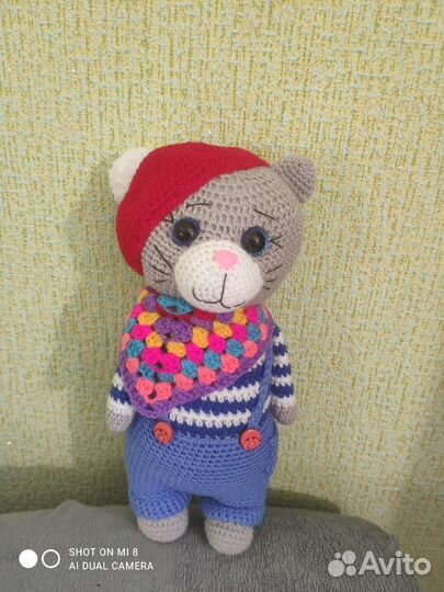 Котик Джереми