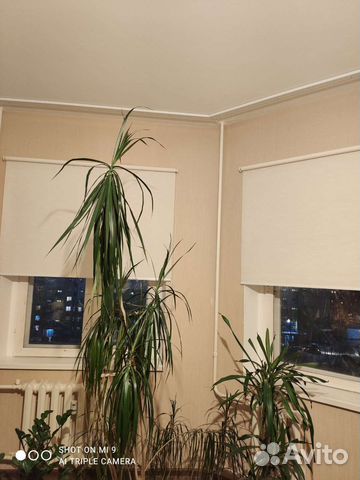 Рулонные шторы