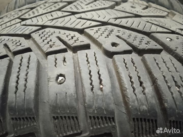 Gislaved NordFrost 100 205/60 R16 96T