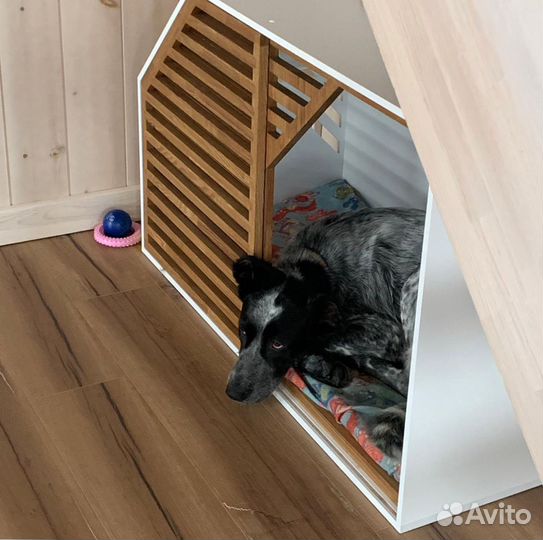 Вольер для Большой собаки