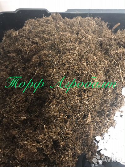 Грунт для ароидных