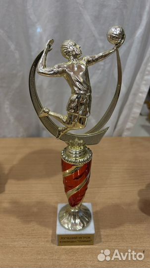Кубок спортивный