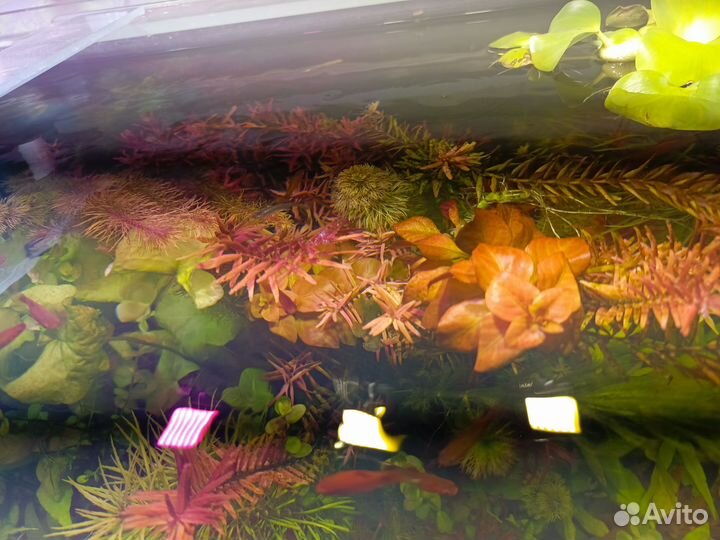 Светильник для аквариума