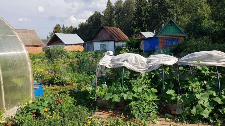 Участок 3,2 сот. (СНТ, ДНП)