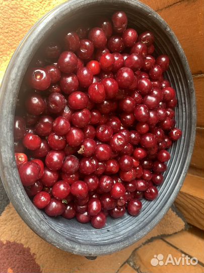 Ягоды вишни и крыжовника