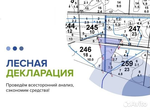 Лесной фонд,лесные декларации,отчетность по лесам