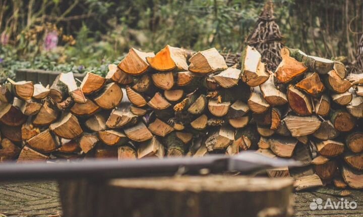 Дрова в СПБ