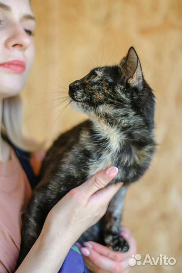 Малышка ищет семью